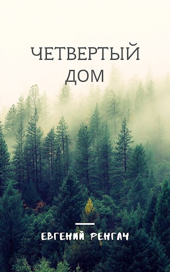 Обложка книги Четвертый Дом