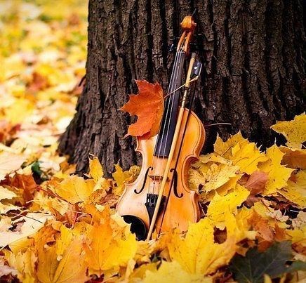Обложка книги Когда молчит музыка