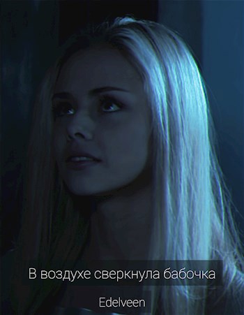 Обложка книги В воздухе сверкнула бабочка