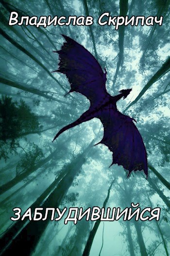 Обложка книги Заблудившийся