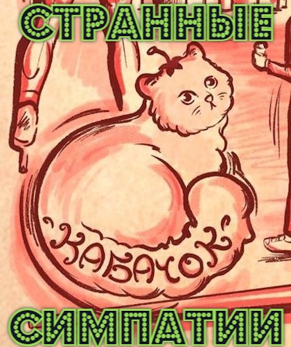 Обложка книги Странные симпатии
