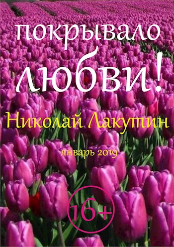 Обложка книги Покрывало любви