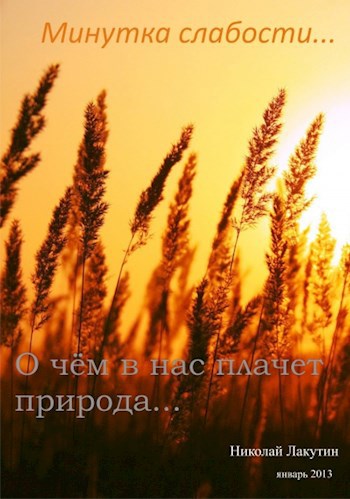 Обложка книги Минутка слабости