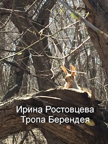 Обложка книги Тропа Берендея