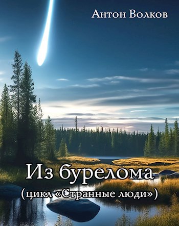 Обложка книги Из бурелома