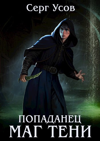 Обложка книги Попаданец. Маг Тени. Книга 9