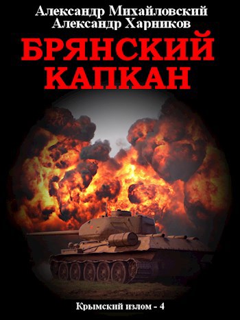 Обложка книги Брянский капкан
