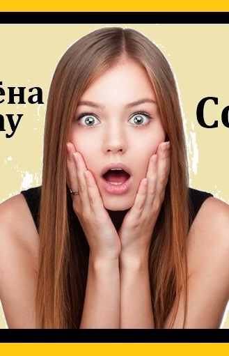 Обложка книги Свин Бося . МАДАМ С КНУТОМ . Бося-ЮТУБ 132