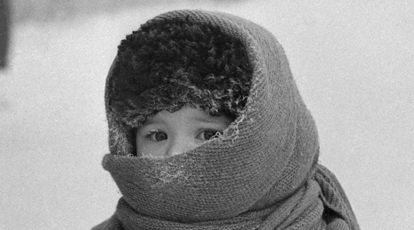 Обложка книги Маугли