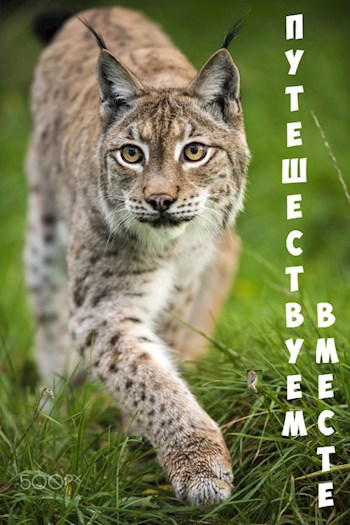 Обложка книги Путешествуем вместе...