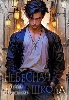 Обложка книги Небесная школа