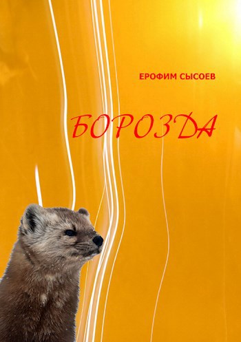 Обложка книги Борозда
