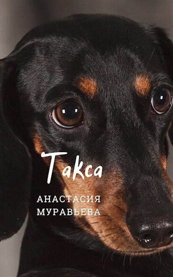 Обложка книги Такса