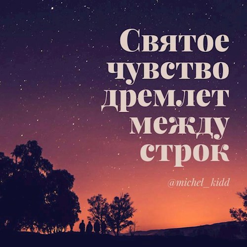 Обложка книги Святое чувство дремлет между строк