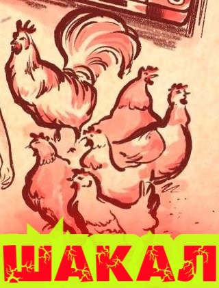 Обложка книги Шакал