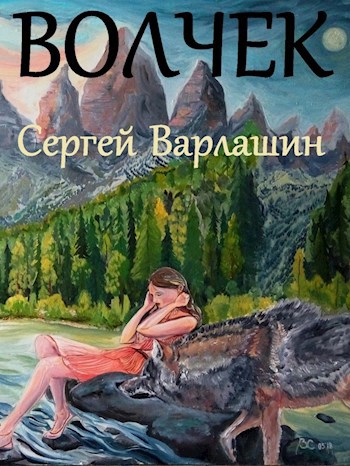 Обложка книги Волчек