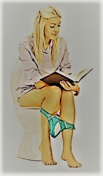 Обложка книги Книга на сливном бачке