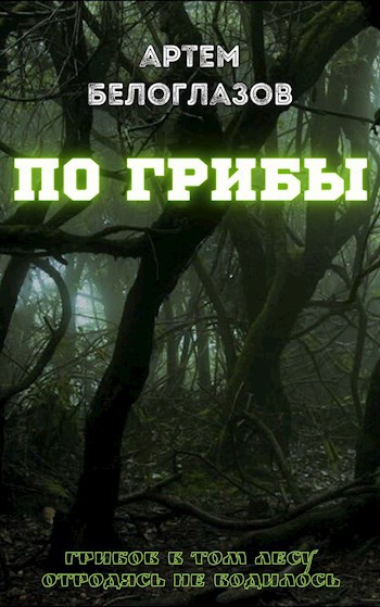 Обложка книги По грибы