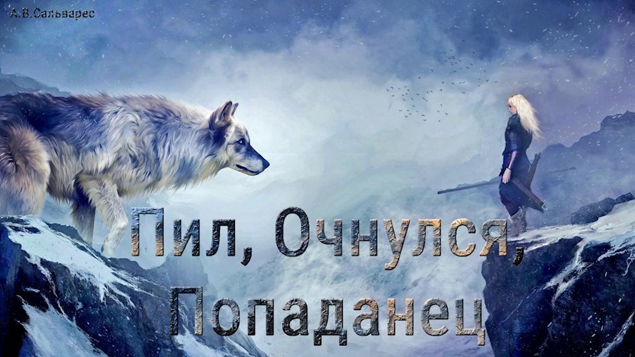 Обложка книги Пил, Очнулся, Попаданец