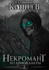Обложка книги Некромант из криокамеры 2