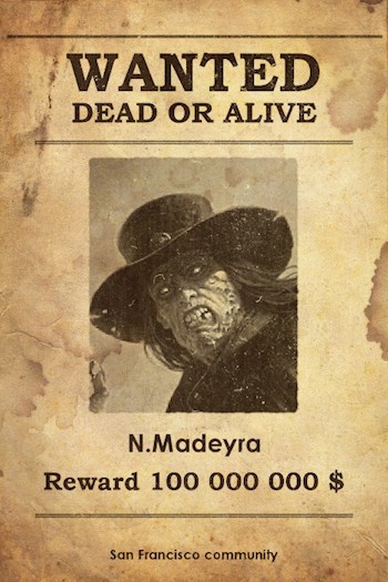 Обложка книги N. Madeyra: билет в один конец