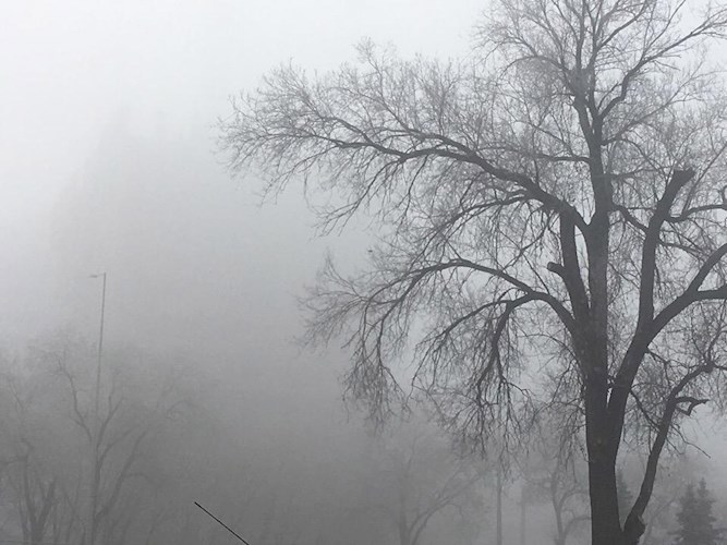 Обложка книги мир грёз
