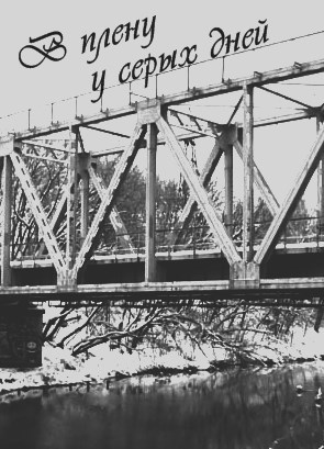 Обложка книги В плену у серых дней