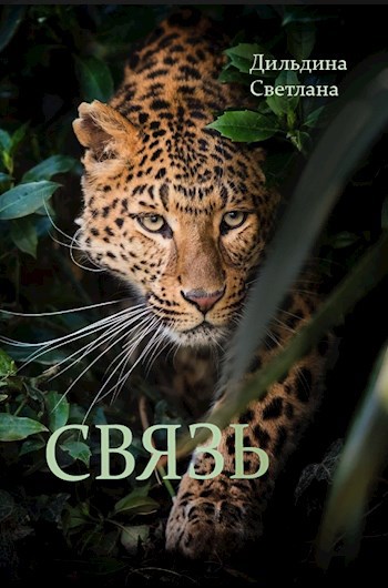 Обложка книги Связь