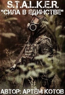 Обложка книги S.T.A.L.K.E.R. "Сила в Единстве"