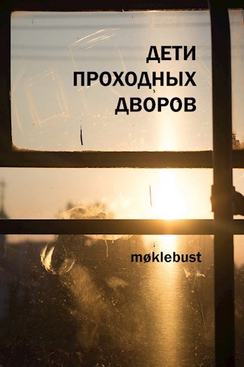Обложка книги Дети проходных дворов