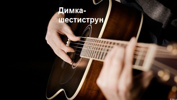 Обложка книги Дима-шестиструн