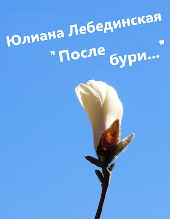 Обложка книги После бури...