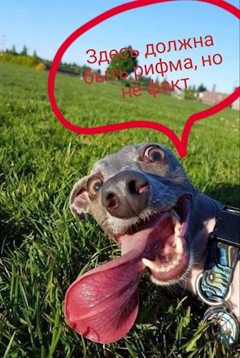 Обложка книги Здесь должна быть рифма, но не факт