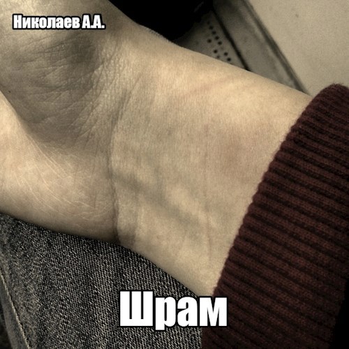 Обложка книги Шрам