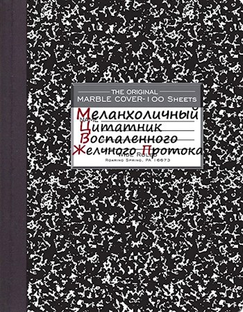 Обложка книги МХЦ ВЖП