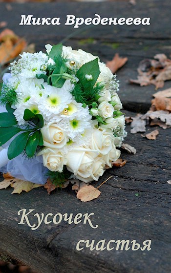 Обложка книги Кусочек счастья