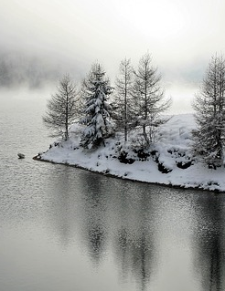 Обложка книги Лицо севера