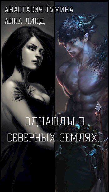 Обложка книги Однажды в Северных землях...