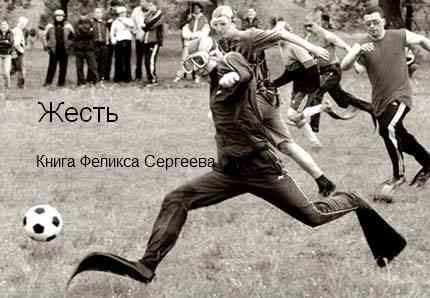 Обложка книги Жесть
