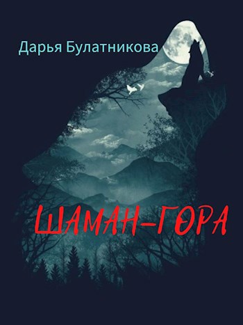 Обложка книги Шаман-гора