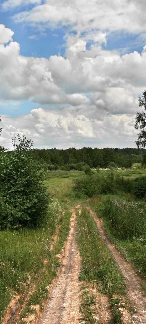 Обложка книги Опасная дорога