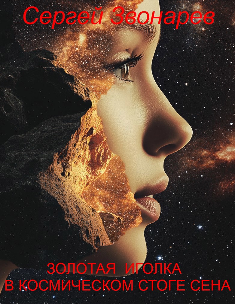 Обложка книги Золотая иголка в космическом стоге сена