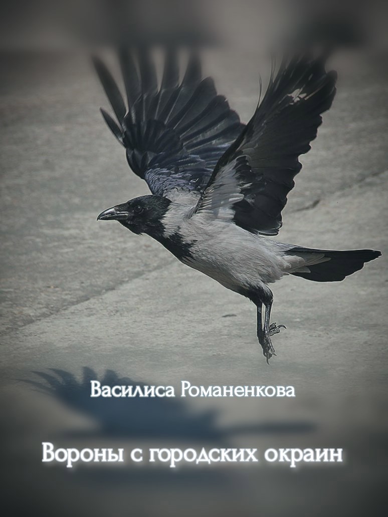 Обложка книги Вороны с городских окраин