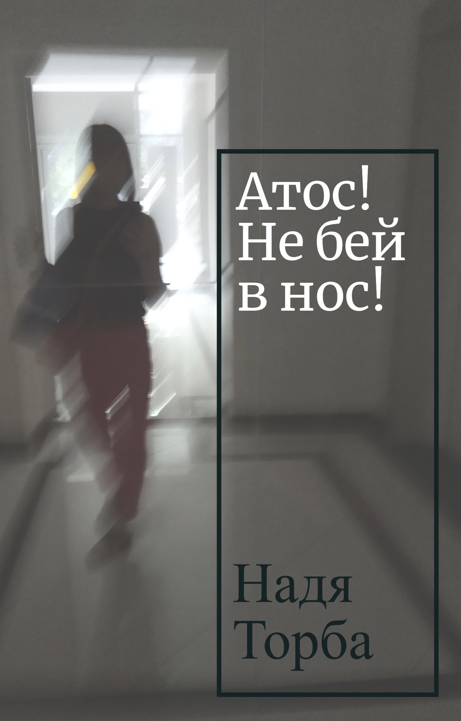 Обложка книги Атос! Не бей в нос!