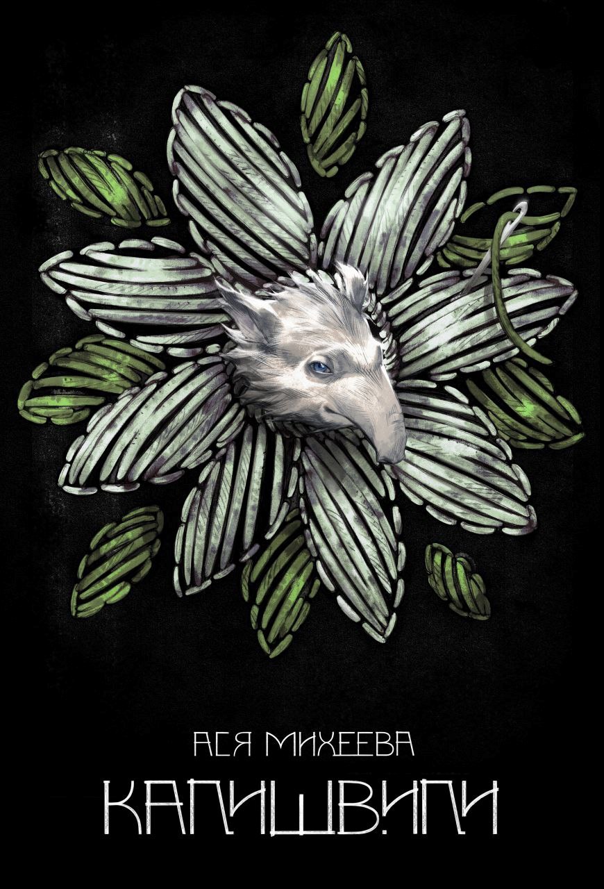 Обложка книги Калишвили
