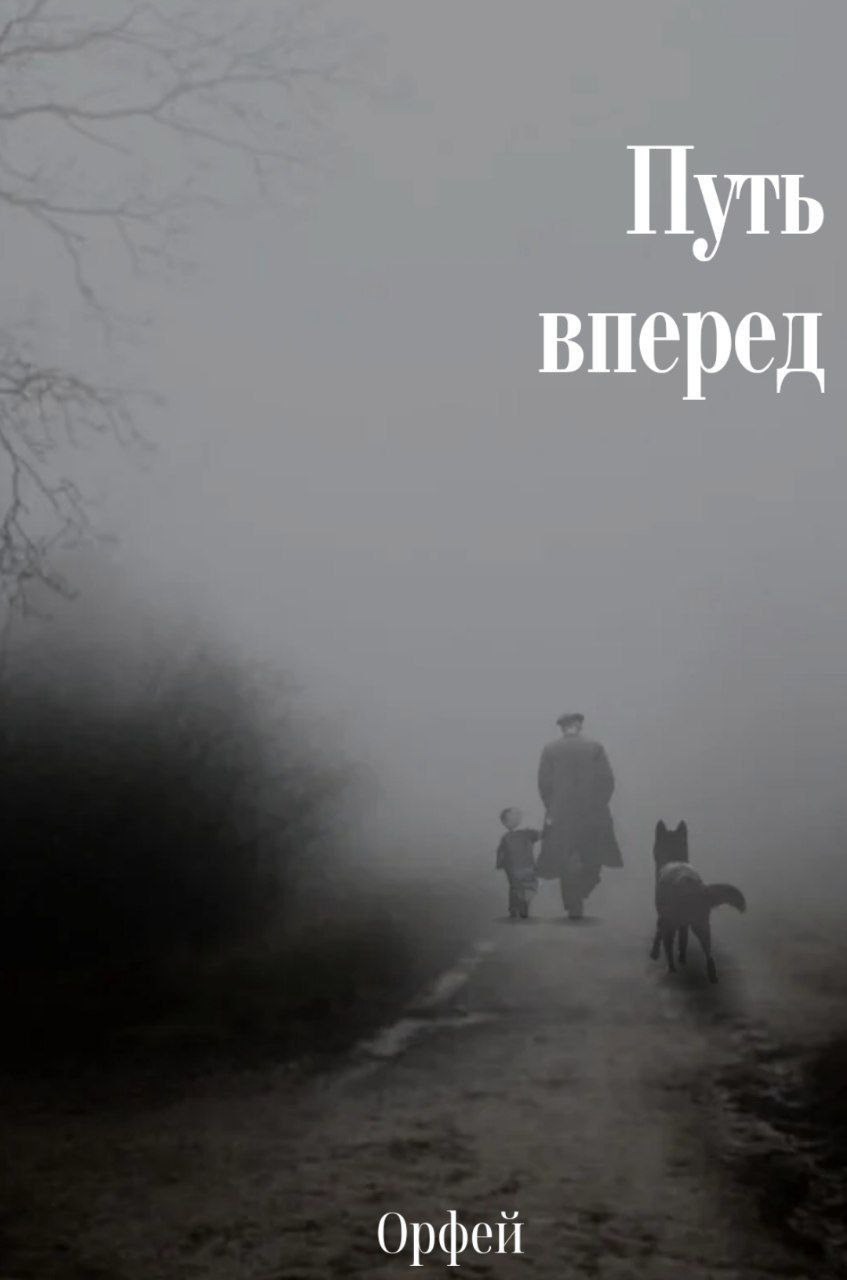 Обложка книги Путь вперед