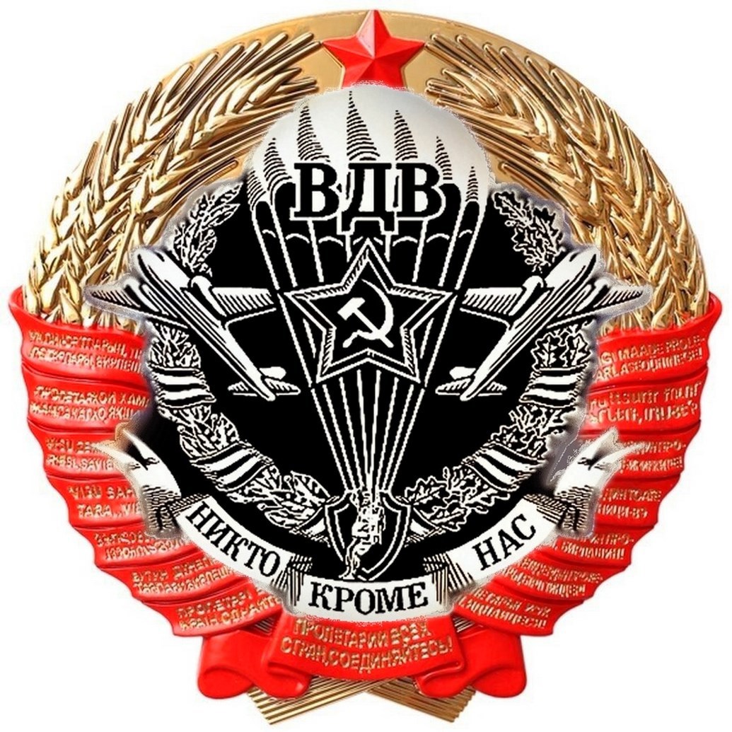 Обложка книги Нужны ли ВДВ в Эпоху Высоких Технологий?