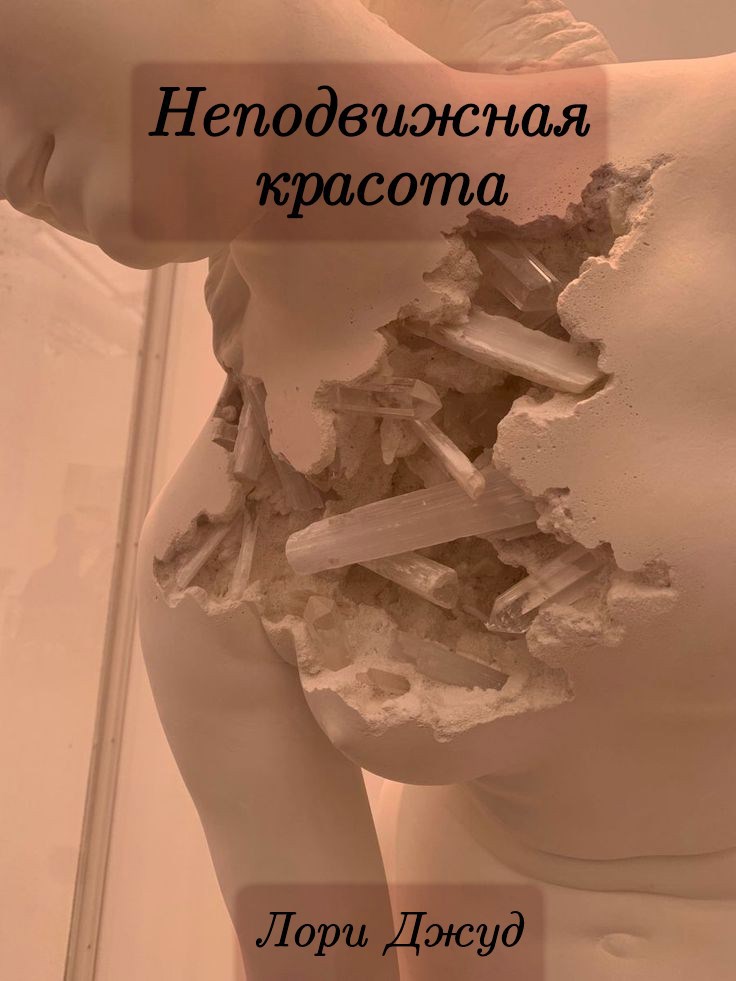 Обложка книги Неподвижная красота