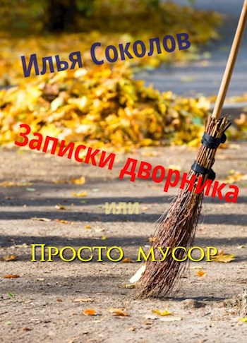 Обложка книги Записки дворника, или Просто мусор