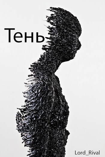 Обложка книги Тень